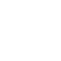 Dev Web